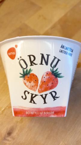 Skyr, lactose-free von JEdda | Hochgeladen von: JEdda