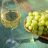 Weißwein, Durchschnitt | Hochgeladen von: Ennaj