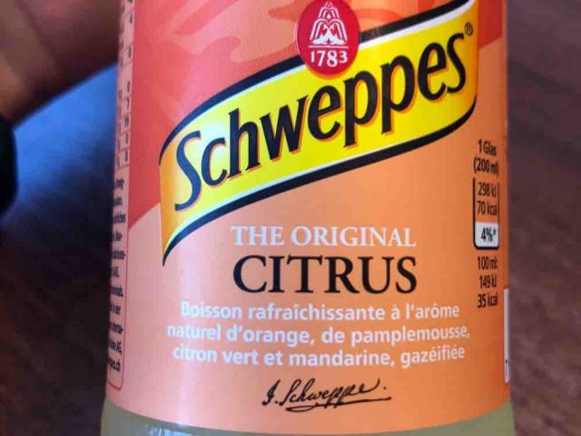 schweppes, citrus  von Beatyaone | Hochgeladen von: Beatyaone