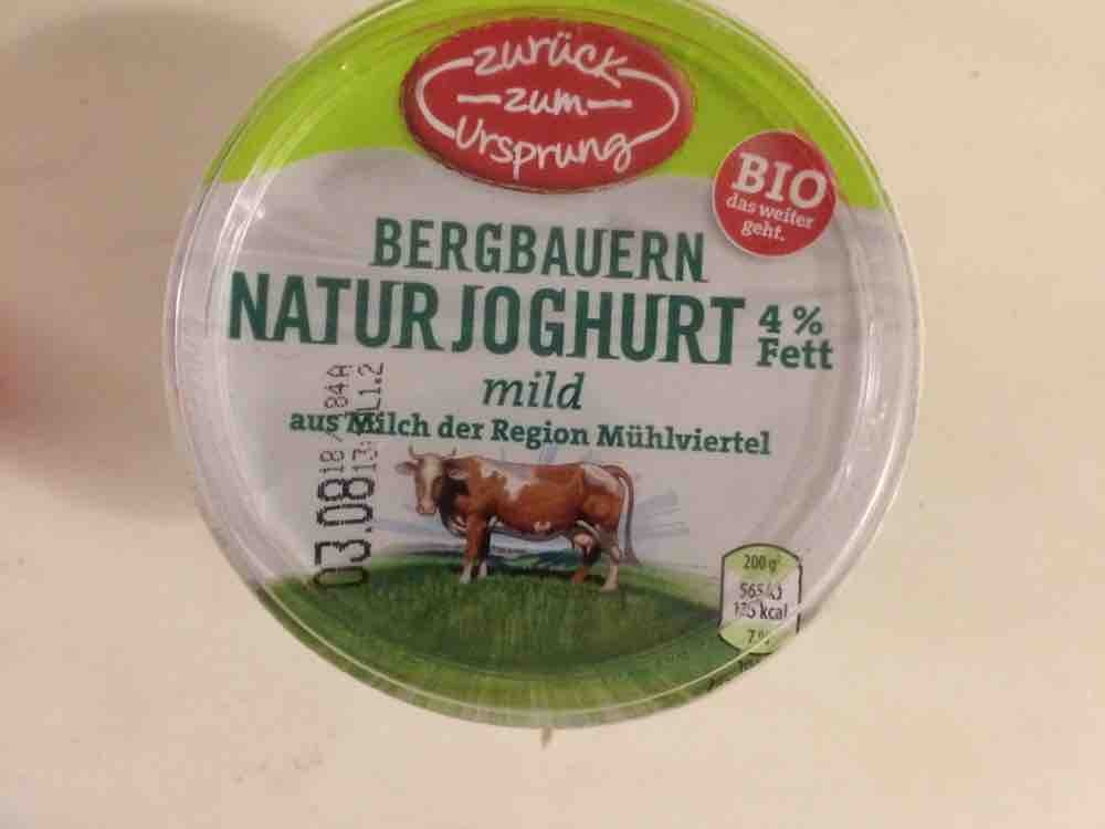 Bergbauern Naturjoghurt 4% Fett von mikemike | Hochgeladen von: mikemike
