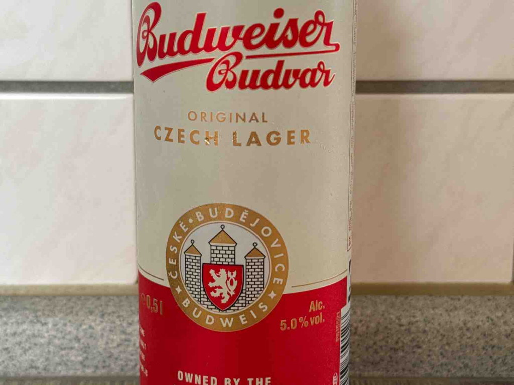 Budweiser Budvar, Original Czech Lager von dornier217 | Hochgeladen von: dornier217