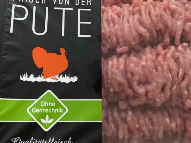 Pute Hackfleisch, gewürzt von JulianPirwitz | Hochgeladen von: JulianPirwitz