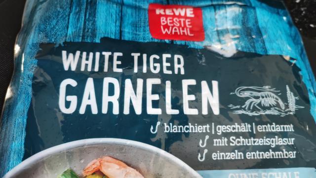 White Tiger Garnelen von zapatka | Hochgeladen von: zapatka
