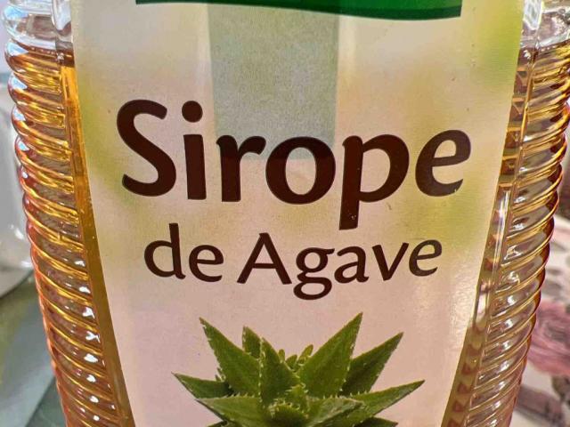 Sirope de Agave, Agavensirup von 1littleumph | Hochgeladen von: 1littleumph