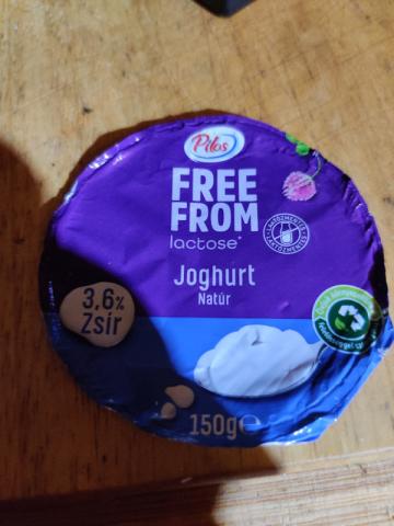 freue Form lactose Joghurt Natur, 3.6% Fett von FXH | Hochgeladen von: FXH