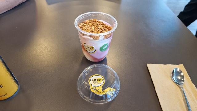 Granola YO Himbeerpüree, mit Haferflocken von Ryan_51 | Hochgeladen von: Ryan_51