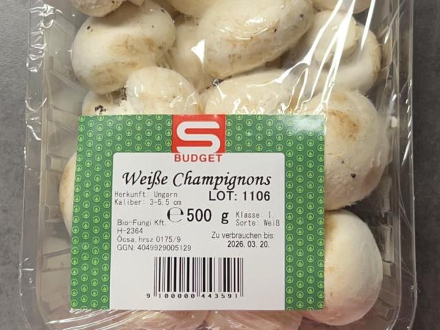 Hochgeladen von: Tara1000