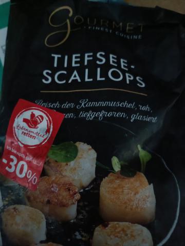 Tiefsee Scallops by Osli | Hochgeladen von: Osli