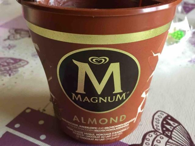 Magnum, Almond Eisbecher von mcbru | Hochgeladen von: mcbru