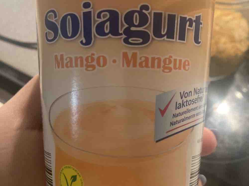 Sojagurt Mango von julypav | Hochgeladen von: julypav