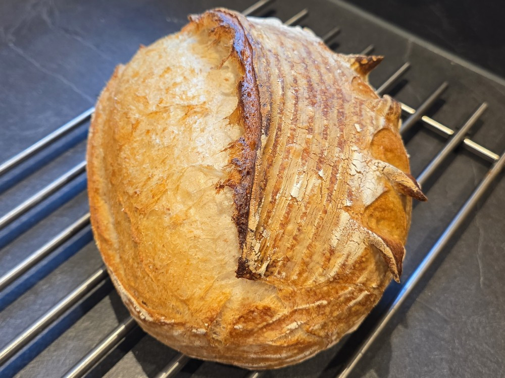 Hochgeladen von: xlr8