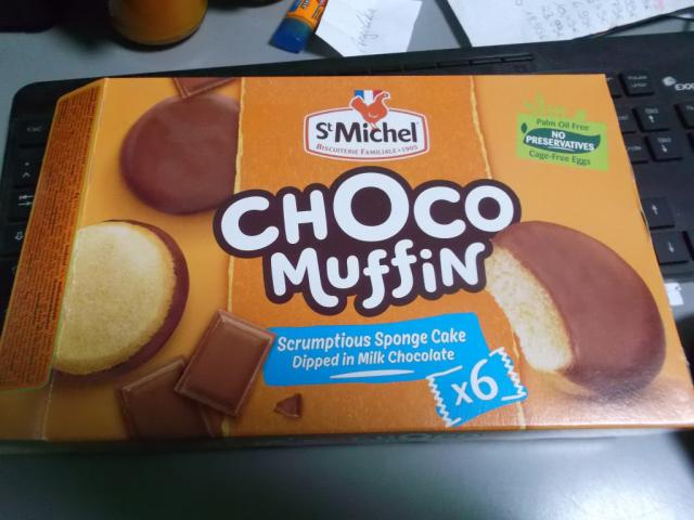 Choco Muffin | Hochgeladen von: pittyplatsch666