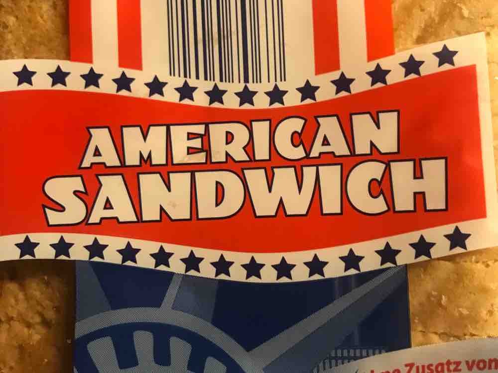 American Sandwich ohne Konservierungsstoffe von TimWeichsel | Hochgeladen von: TimWeichsel