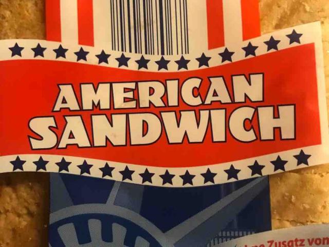 American Sandwich ohne Konservierungsstoffe von TimWeichsel | Hochgeladen von: TimWeichsel