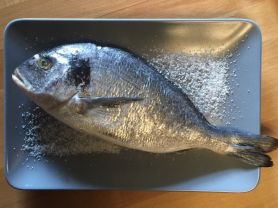 DORADE, Fisch | Hochgeladen von: Flocom