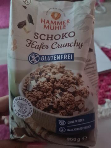 Schoko Hafer Crunchy von Giny1Sally | Hochgeladen von: Giny1Sally