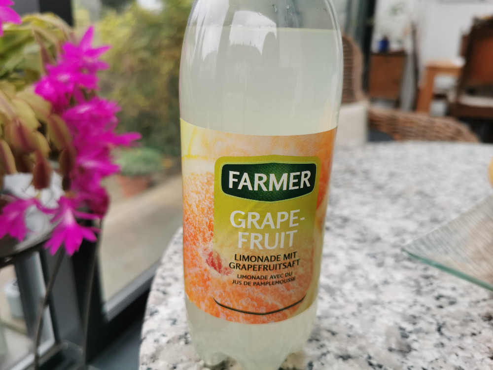 Farmer Grapefruit Limonade von Sarah.Z | Hochgeladen von: Sarah.Z