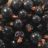 Johannisbeeren, schwarz von ReDegBer | Hochgeladen von: ReDegBer