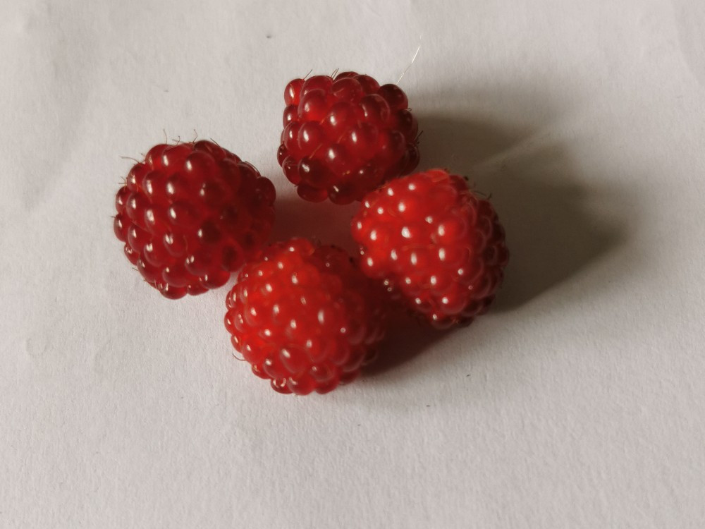 Hochgeladen von: Miguba