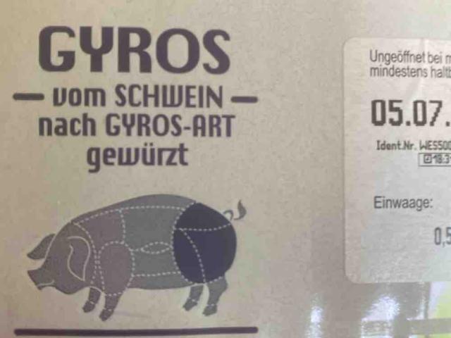 Gyros vom Schwein von MNGG | Hochgeladen von: MNGG