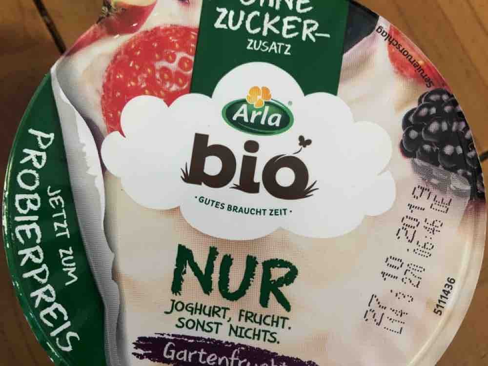 Nur Joghurt, Gartenfrucht, Ohne Zuckerzusatz von Limi906 | Hochgeladen von: Limi906