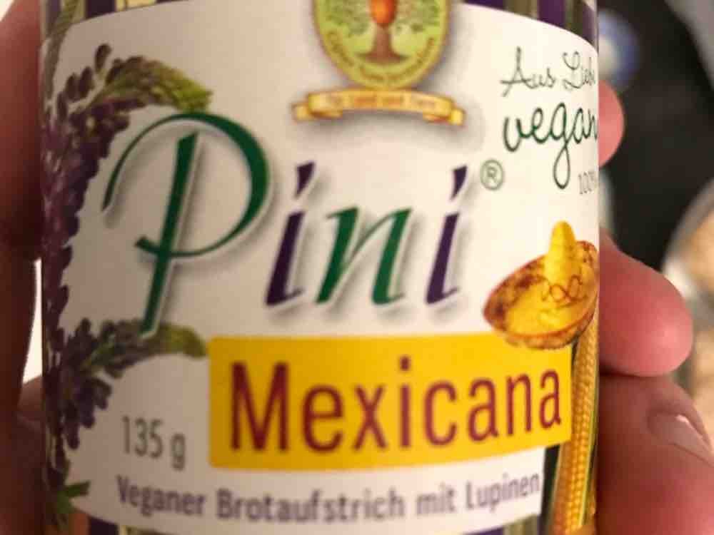 Pini Mexicana, Veganer Brotaufstrich mit Lupinen von Haggga | Hochgeladen von: Haggga