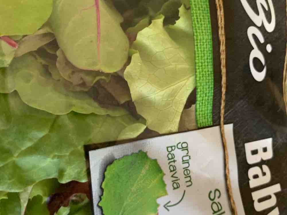 Bio Baby Leaf Salat, Gemüsemischung aus Batavia Salat und Mangol | Hochgeladen von: Wundercube