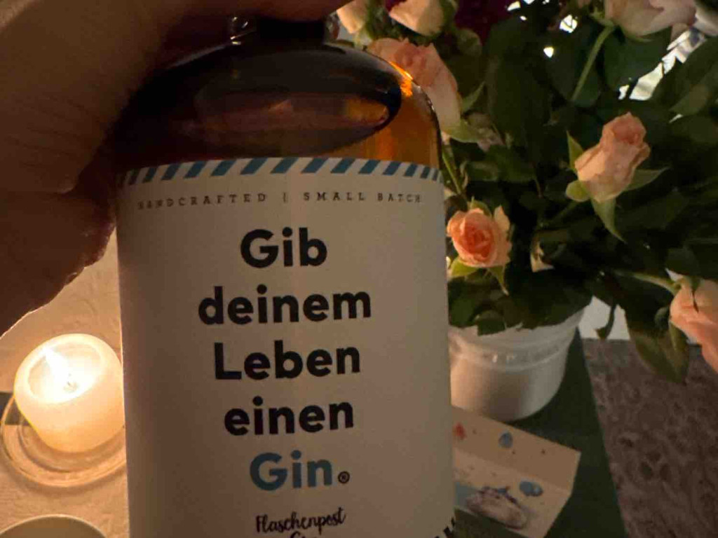 gib deinem leben Gin, Flaschenpost Gin von Synni777 | Hochgeladen von: Synni777