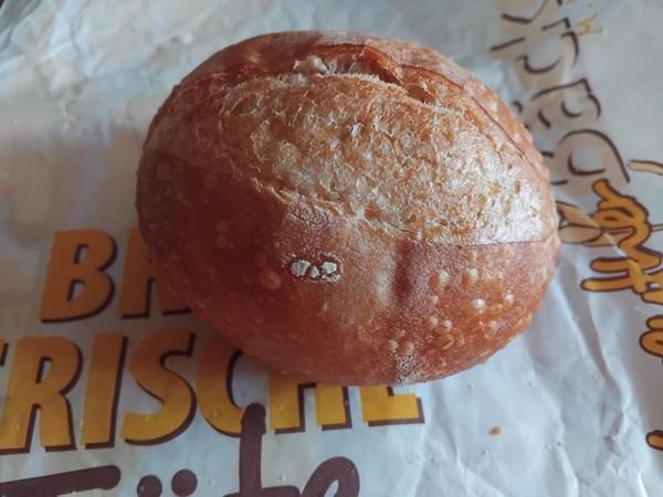 Hochgeladen von: Bauigel Hochgeladen von: Bauigel
