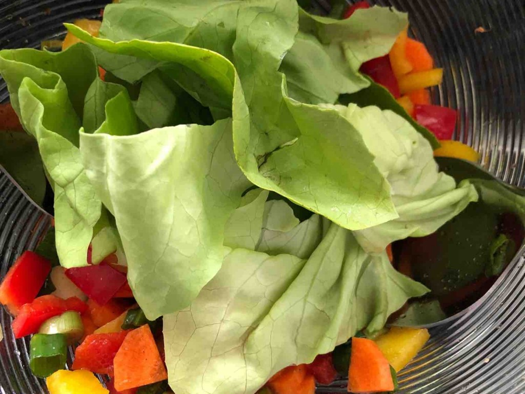 Selbstgemacht, Gemischter Blattsalat mit Dressing Kalorien - Salat - Fddb