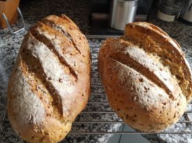 saftiges Körnerbrot | Hochgeladen von: reg.