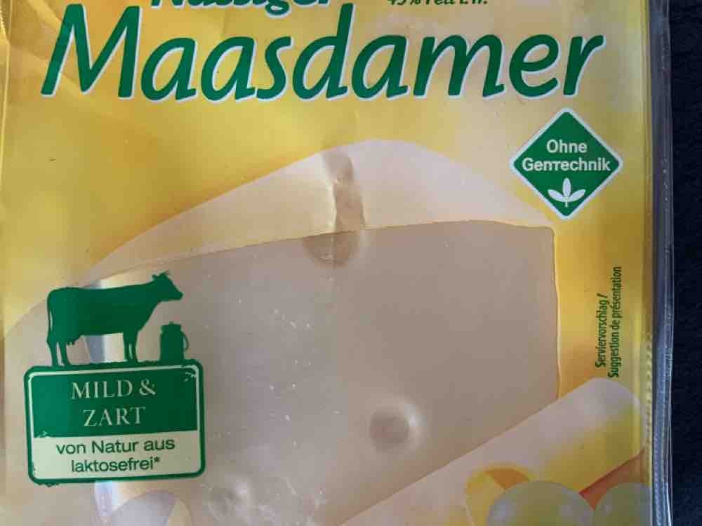 Nussiger Maasdamer, 45% i. Tr. von CKantelberg | Hochgeladen von: CKantelberg