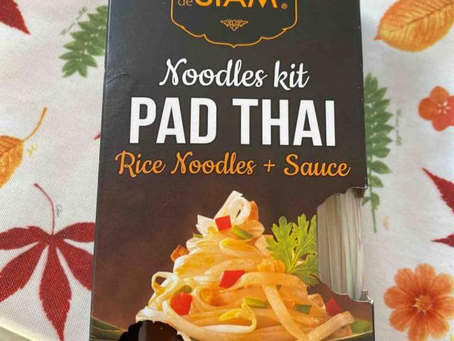 Pad Thai von FrenchcoreKillah | Hochgeladen von: FrenchcoreKillah