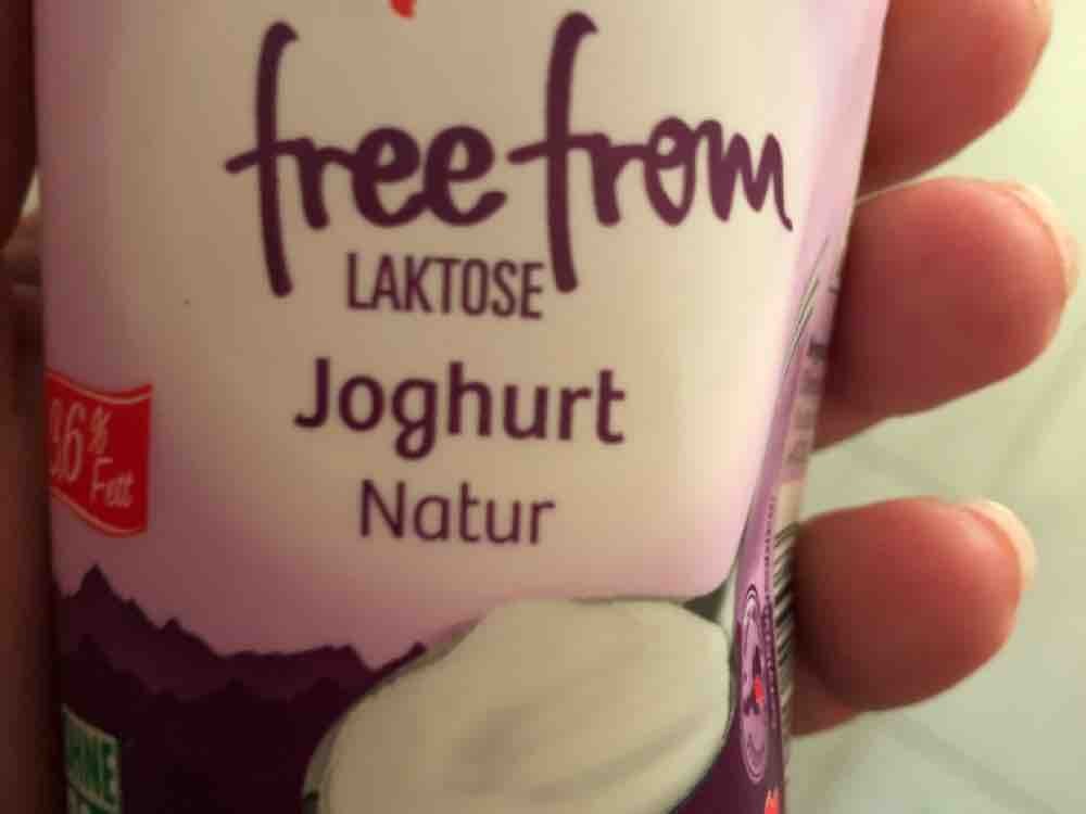 free  from Laktose naturjoghurt, 3,6% von Leni0815 | Hochgeladen von: Leni0815