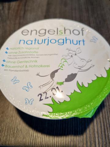 Naturjoghurt Engelshof, 3,8% Fett von Alex123 | Hochgeladen von: Alex123
