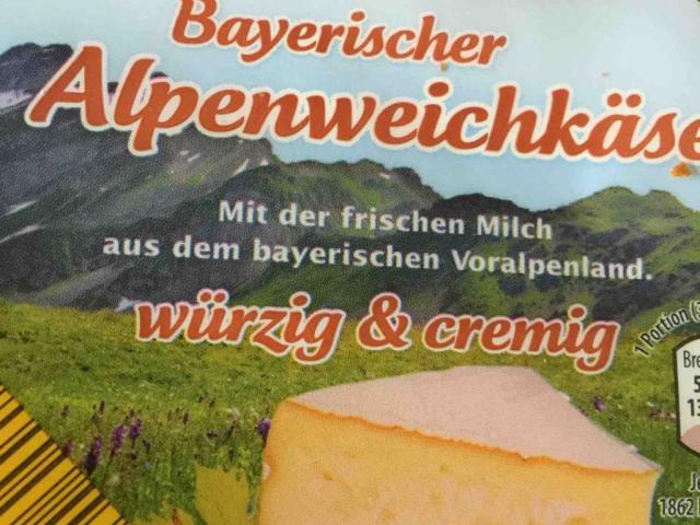 Bayerischer Alpenweichkäse, würzig & cremig von Helginchen | Hochgeladen von: Helginchen