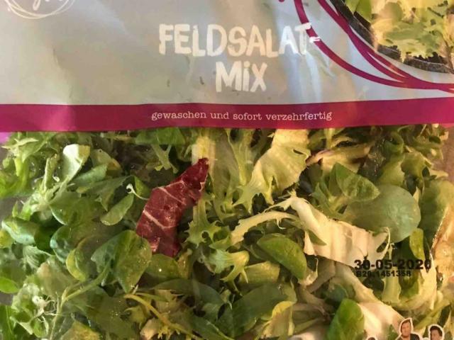 Feldsalat Mix von adrianaaa | Hochgeladen von: adrianaaa