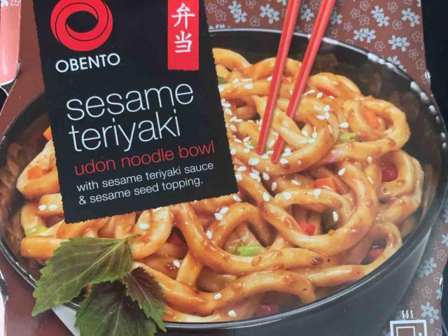 sesame teriyaki udon noodle bowl by schneestern01 | Uploaded by: schneestern01