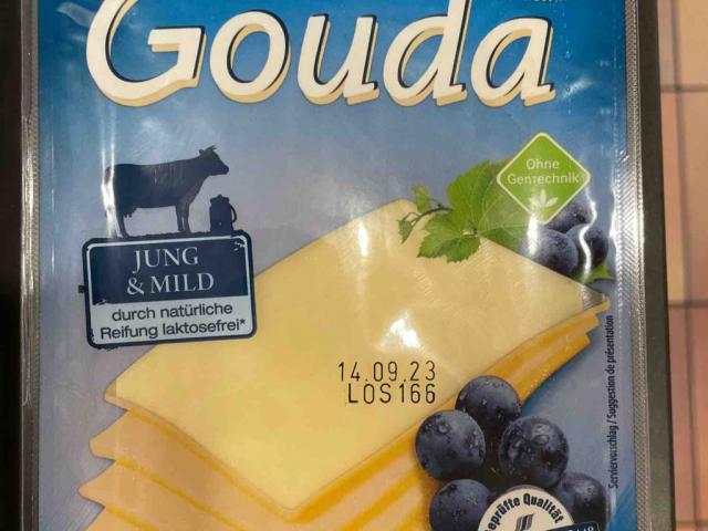 Gouda jung &mild, 48 % Fett i. Tr. von xZaqo | Hochgeladen von: xZaqo