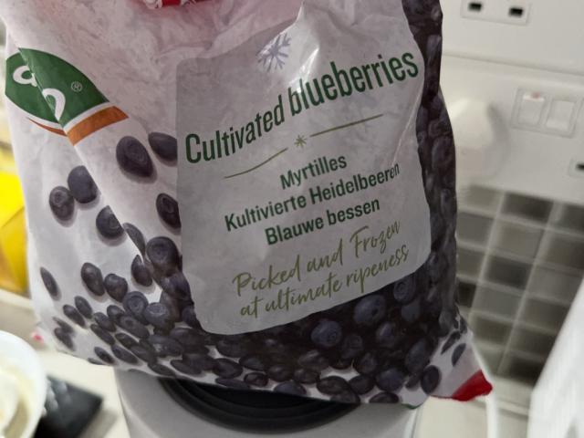 Cultivated blueberries by whoskayo | Uploaded by: whoskayo