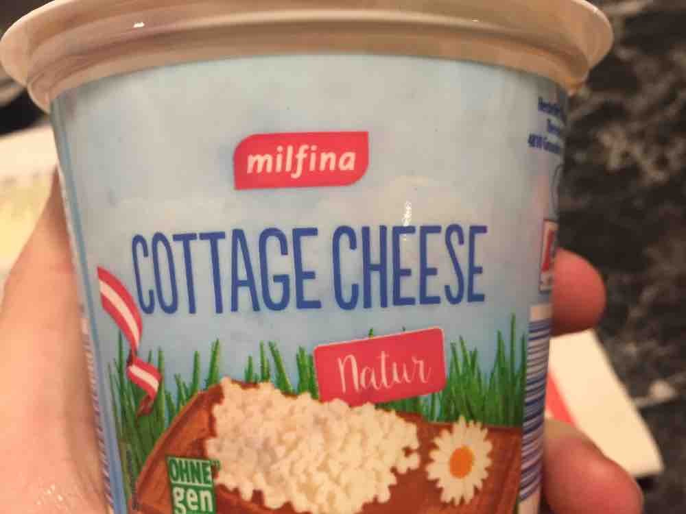 Cottage Cheese von plackner50 | Hochgeladen von: plackner50