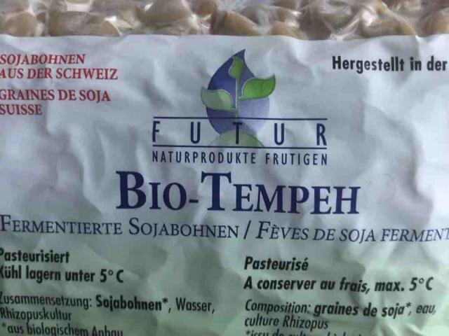 Bio Tempeh, Sojabohnen von LucSur | Hochgeladen von: LucSur