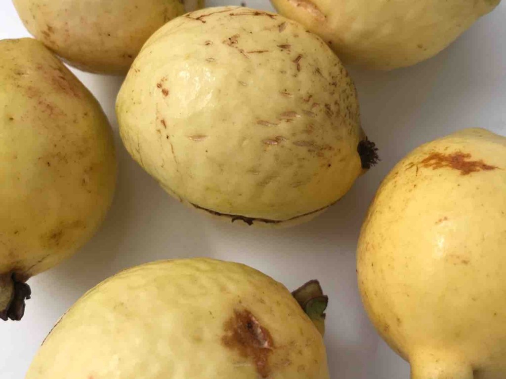 Guave, roh von avocadi | Hochgeladen von: avocadi