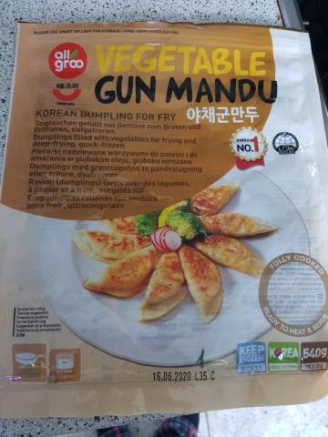 vegetable Gun Mandu, vegan von Bronek | Hochgeladen von: Bronek