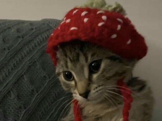 Hochgeladen von: chariee