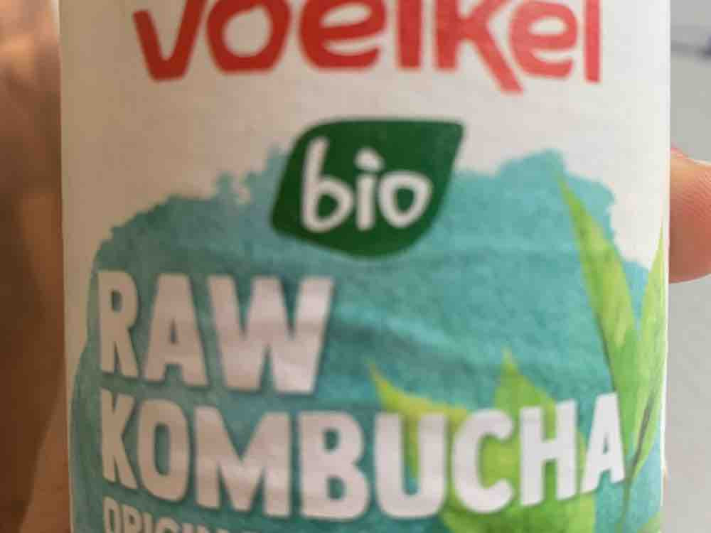 raw Kombucha Original, original von hotbun | Hochgeladen von: hotbun