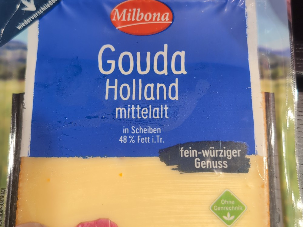 Gouda milbona Holland mittelalt von AlexPu | Hochgeladen von: AlexPu