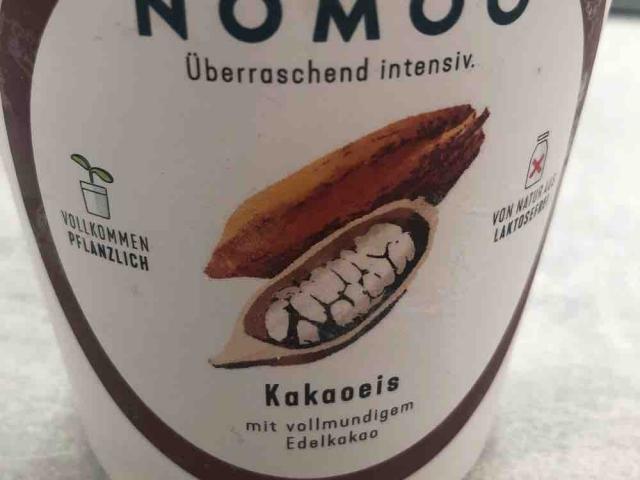 Kakaoeis, mit vollmundigem Edelkakao, vegan von Brandeli | Hochgeladen von: Brandeli