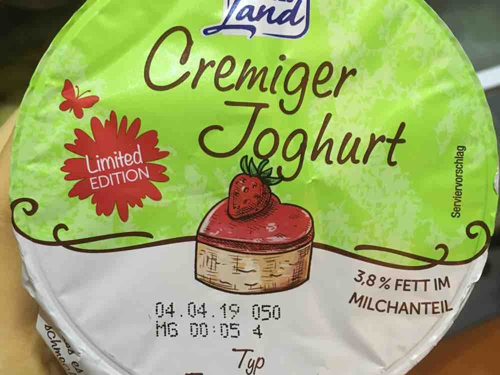 Cremiger Joghurt, Typ Erdbeerkuchen von alexandra.habermeier | Hochgeladen von: alexandra.habermeier