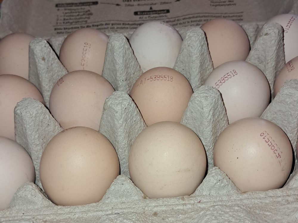 Hochgeladen von: geroldwirdfit